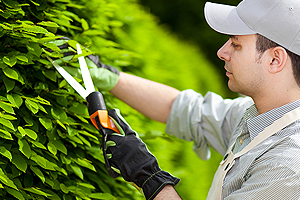 kertgondoz�s Si�fok