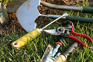 kertgondoz�s Si�fok